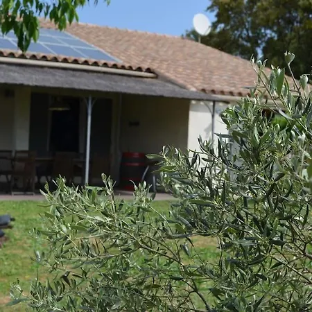 120 M2 Terrain 1200m2 Piscine Villa